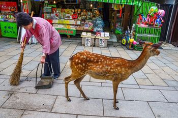 WOMAN WALKING ON SIDEWALK