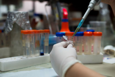 Cropped hands of scientist filing test tubes in laboratory