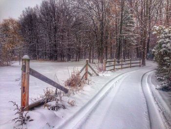 Empty road passing through forest