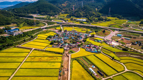 High angle view of yellow golf course