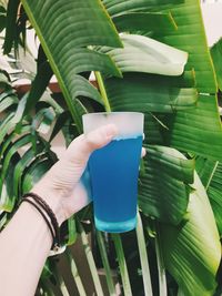 Midsection of woman holding drink