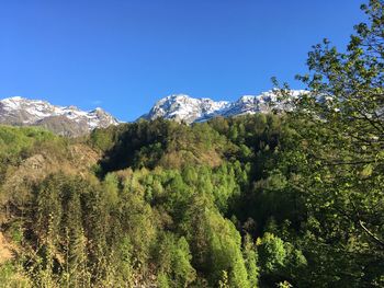 Scenic view of mountains against clear blue sky