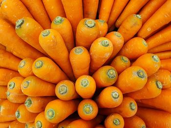 Full frame shot of orange fruits for sale in market