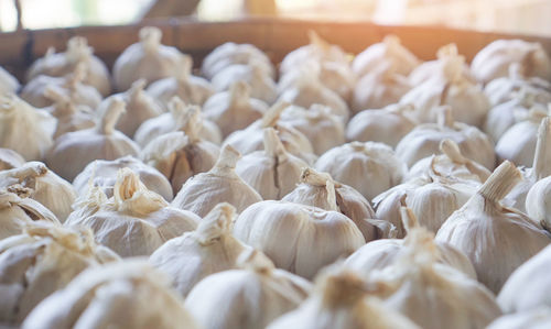 Close-up of white candies on table