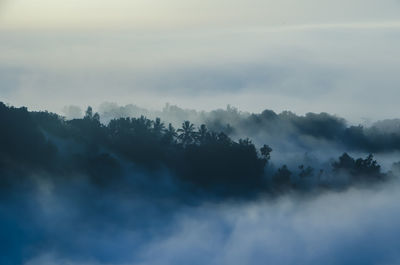 Panoramic shot of trees against sky