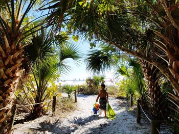 Full length of woman on palm tree at beach