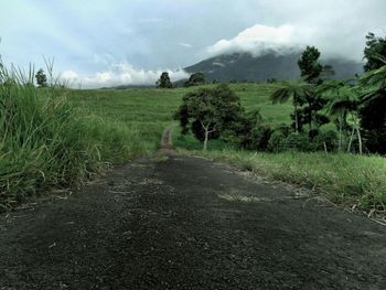Road amidst field against sky