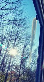 Low angle view of bare trees during winter