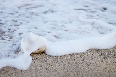Footprints on beach