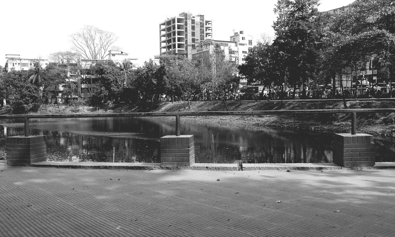 water, tree, architecture, built structure, building exterior, reflection, clear sky, river, city, waterfront, lake, pond, day, outdoors, railing, growth, sky, nature, park - man made space, canal