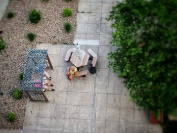 High angle view of potted plant on chair