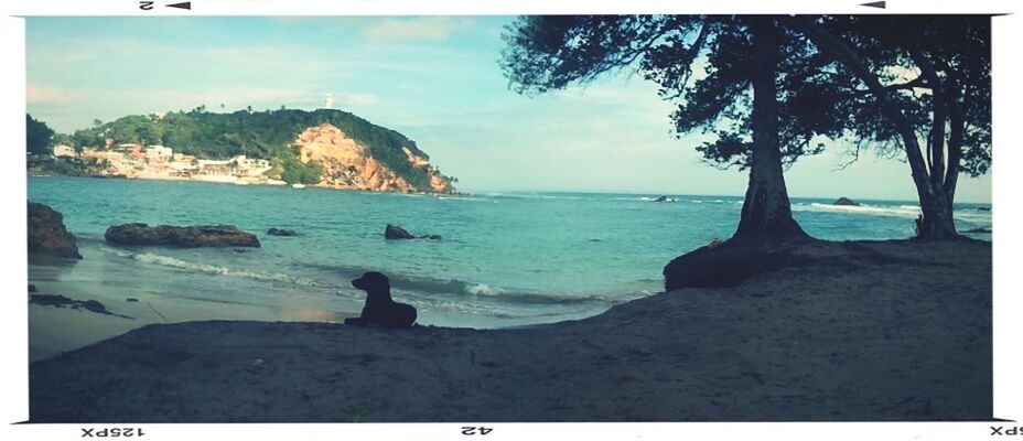 transfer print, water, sea, auto post production filter, scenics, sky, tranquil scene, tranquility, horizon over water, beach, beauty in nature, mountain, silhouette, shore, nature, rock - object, men, idyllic, coastline