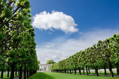 View of trees on landscape