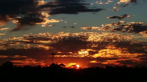 Silhouette trees against dramatic sky during sunset