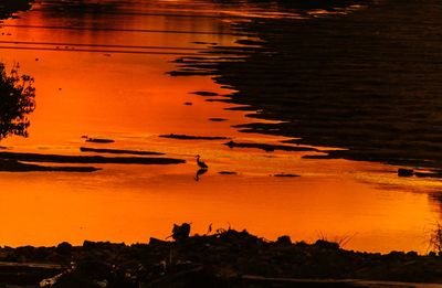 Silhouette birds by lake against orange sky