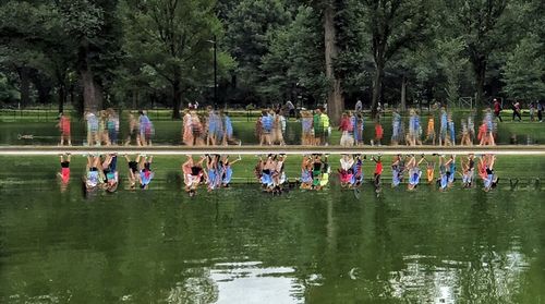 Reflection of trees in water