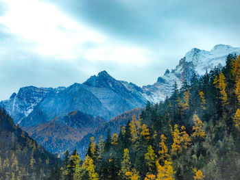 Scenic view of tree mountains against sky