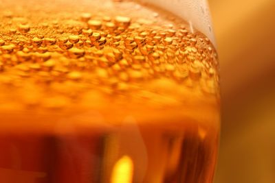 Close-up of beer