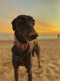 Fun on the beach