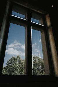 Low angle view of trees seen through window