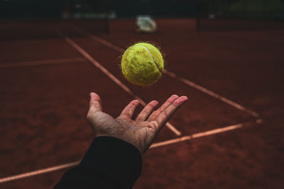 Cropped hand holding tennis ball