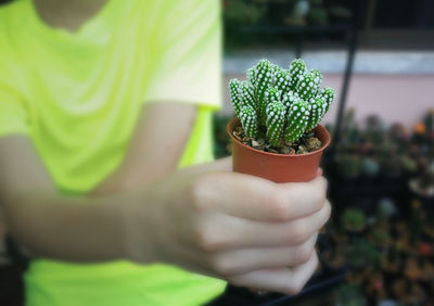 Close-up of hand holding small potted plant