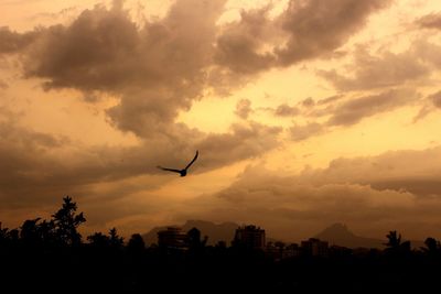 Silhouette bird flying over city against sky during sunset