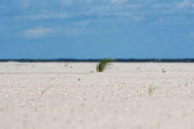 Surface level of sand on beach against sky