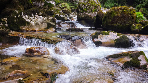 Scenic view of waterfall