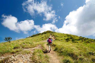 Rear view of women walking on mountain against sky