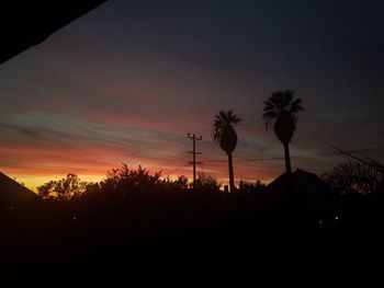Silhouette trees against sky at night
