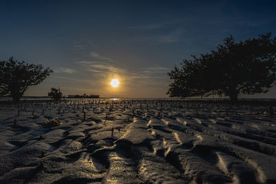 Scenic view of beach against sky during sunset