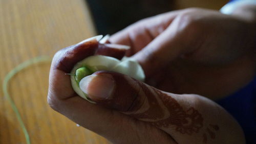 Close-up of hand holding fruit