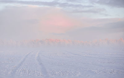 ...when a winter morning as mild as raspberry marshmallow