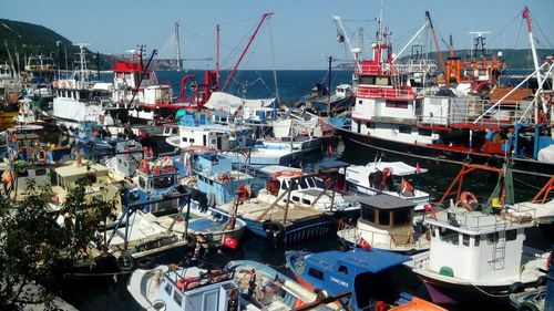 High angle view of harbor against sky