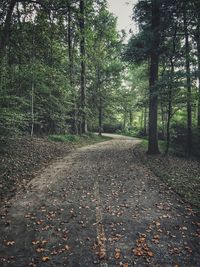 Road amidst trees in forest during autumn