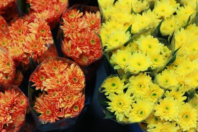 Full frame shot of yellow flowers at market stall