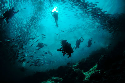 Underwater view of scuba divers swimming with fish in sea