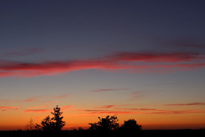 Low angle view of silhouette trees against sky during sunset