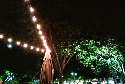 Low angle view of illuminated fireworks at night