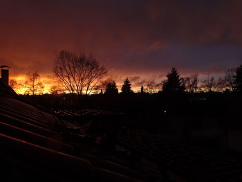 Silhouette trees at sunset