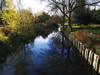 Scenic view of river amidst trees in forest