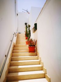 Staircase in corridor