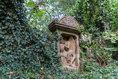 View of an animal on tree
