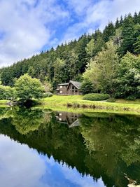 Scenic view of lake by trees against sky