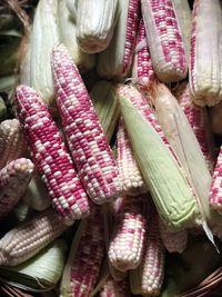 White and pink corn background image 