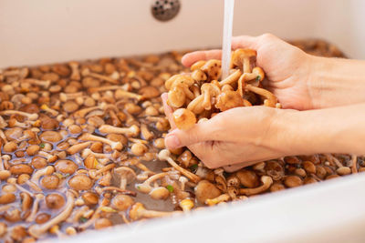 Forest mushrooms are washed in the sink