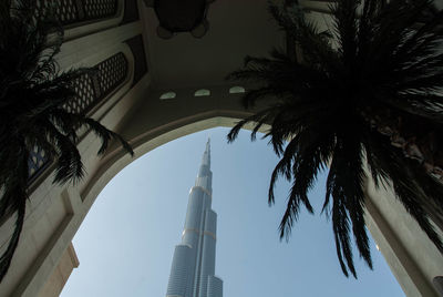 Low angle view of palm trees