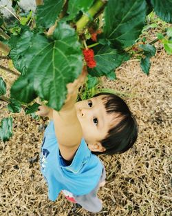 Portrait of cute baby boy on field