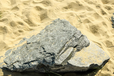 High angle view of rock on land